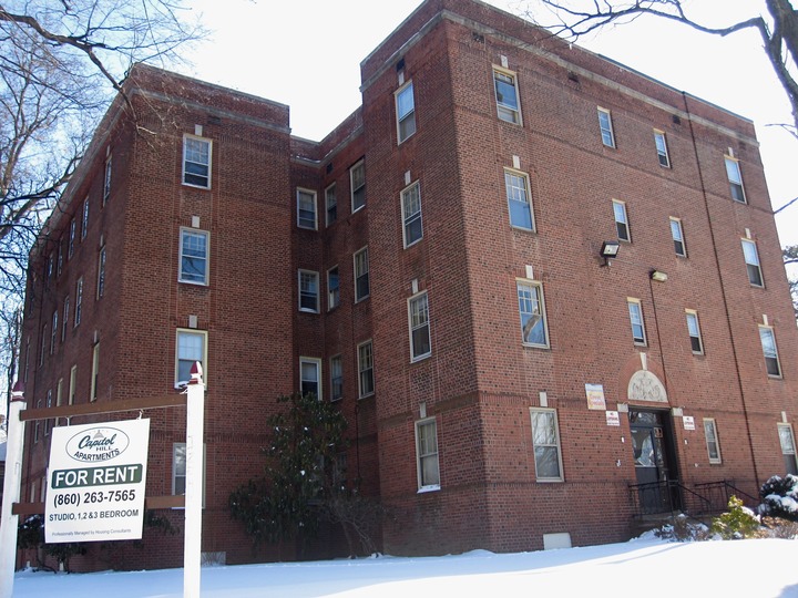 IMG_4645.JPG84forest